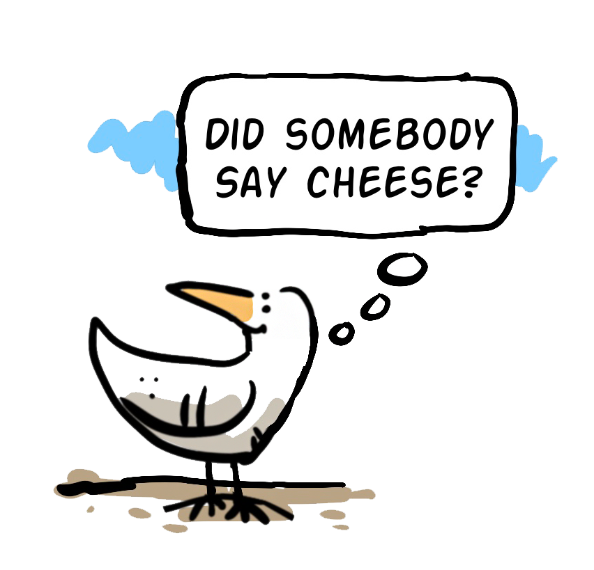Illustration of Moby the white starling with head turned and thought bubble above