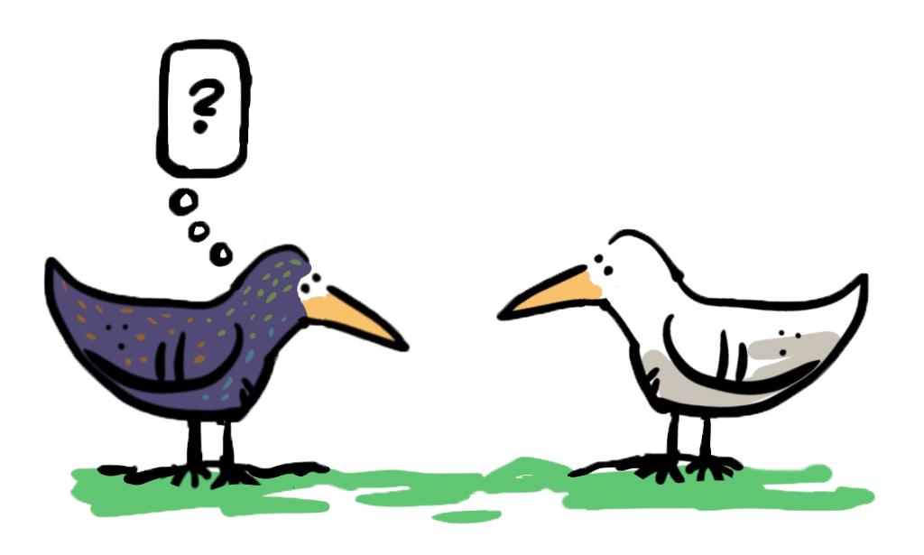 Illustration with a regular starling looking at a white starling with a question mark above its head